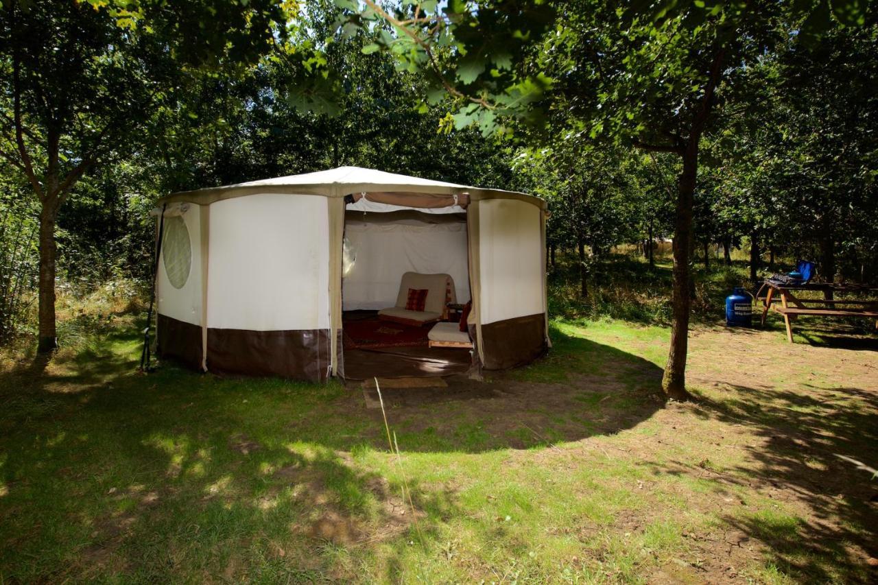 Dgg Woodland Escape 호텔 South Barrow 외부 사진