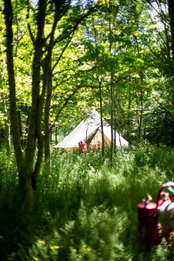 Dgg Woodland Escape 호텔 South Barrow 외부 사진