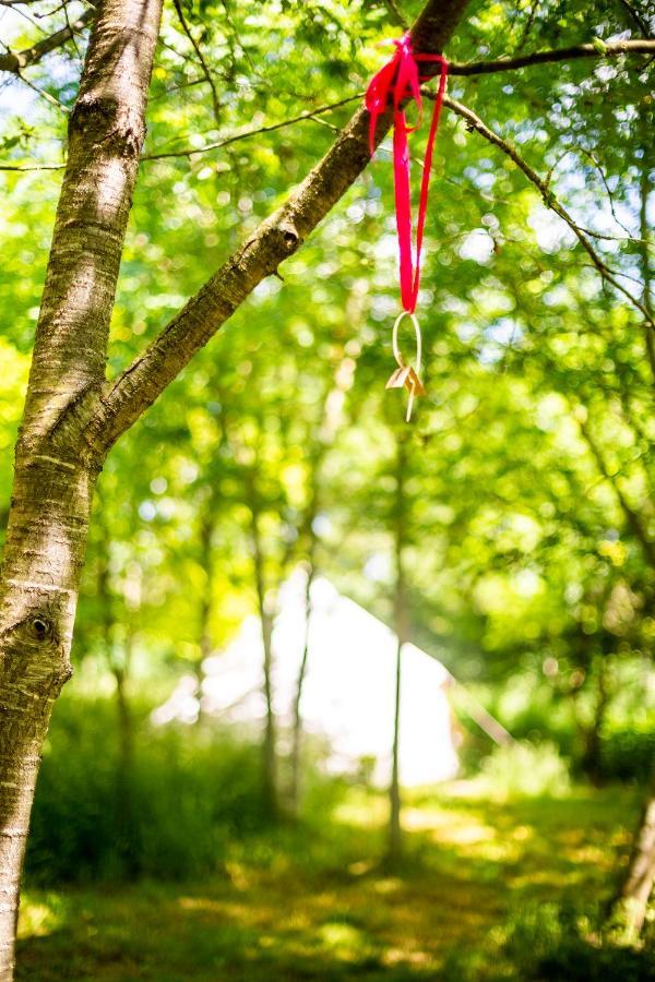 Dgg Woodland Escape 호텔 South Barrow 외부 사진