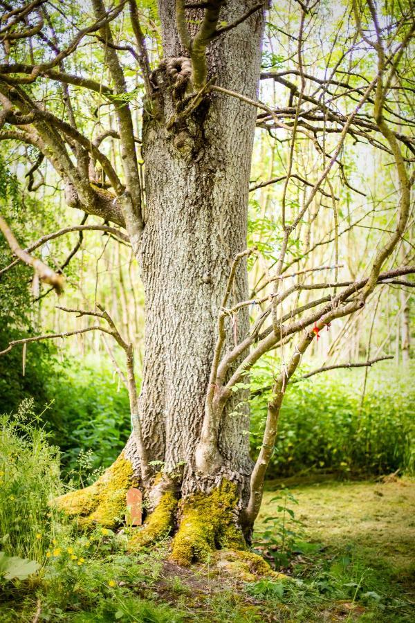 Dgg Woodland Escape 호텔 South Barrow 외부 사진