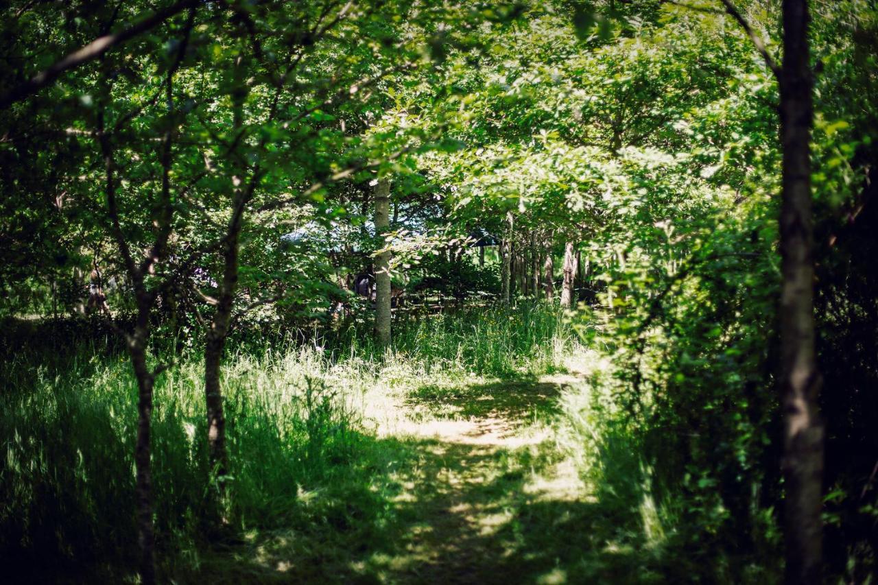 Dgg Woodland Escape 호텔 South Barrow 외부 사진