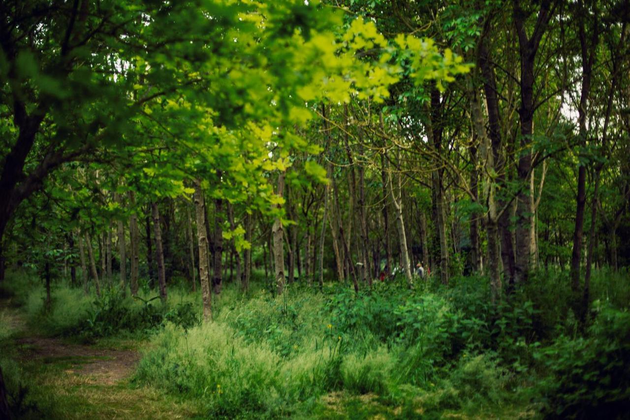 Dgg Woodland Escape 호텔 South Barrow 외부 사진