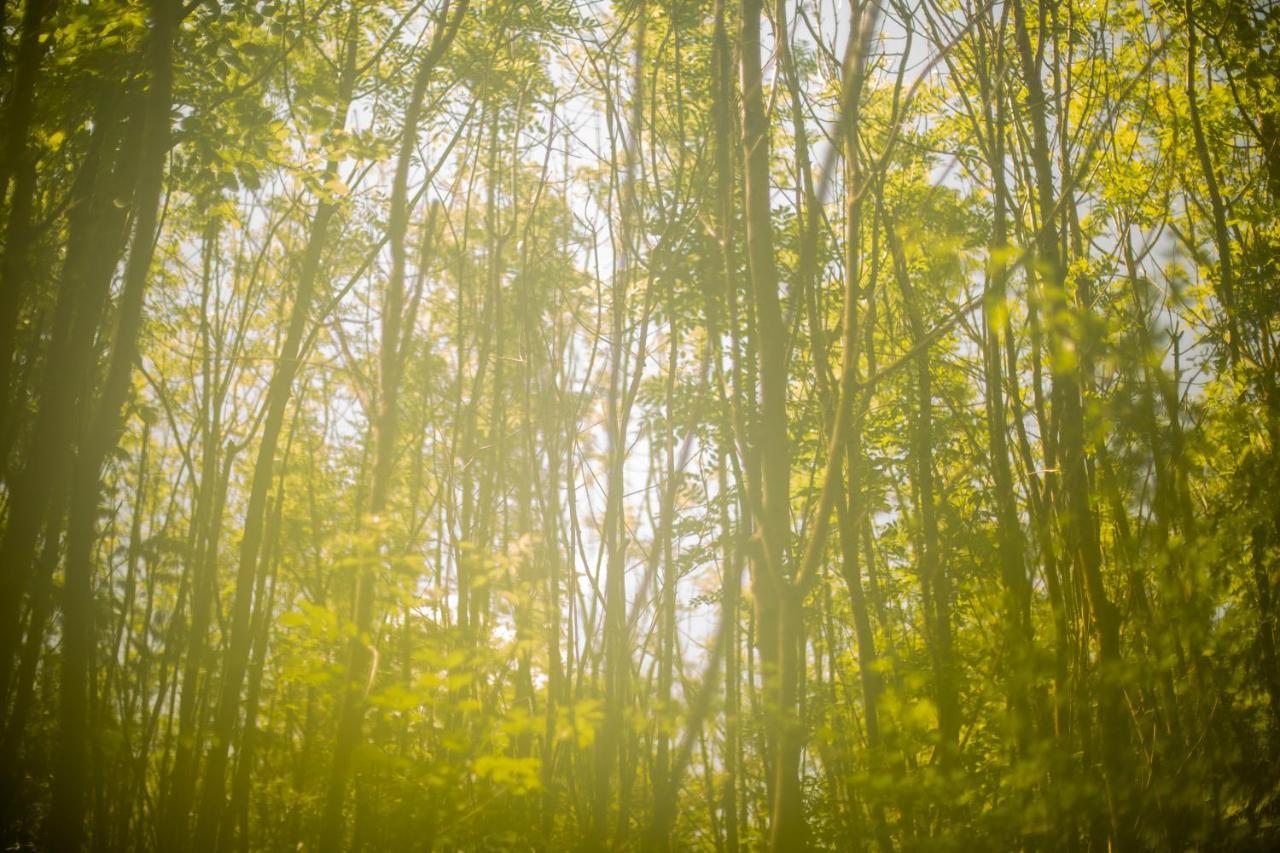 Dgg Woodland Escape 호텔 South Barrow 외부 사진