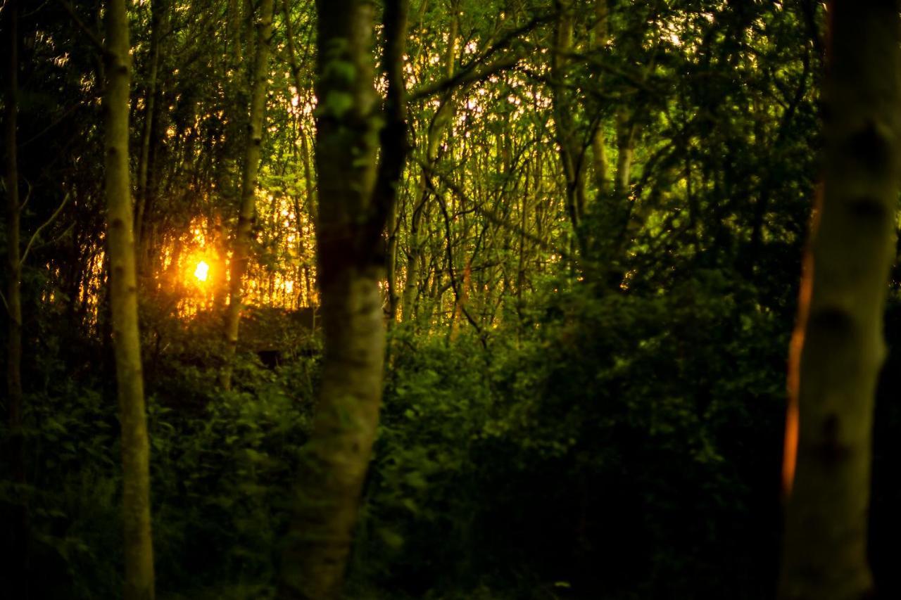 Dgg Woodland Escape 호텔 South Barrow 외부 사진