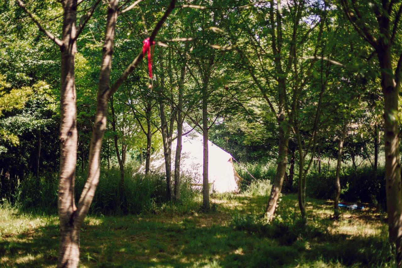 Dgg Woodland Escape 호텔 South Barrow 외부 사진