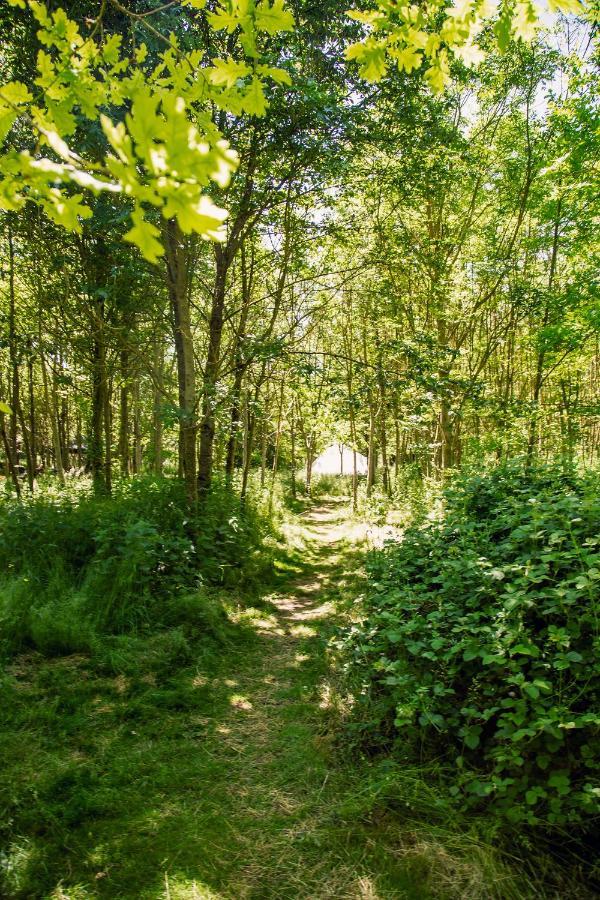 Dgg Woodland Escape 호텔 South Barrow 외부 사진