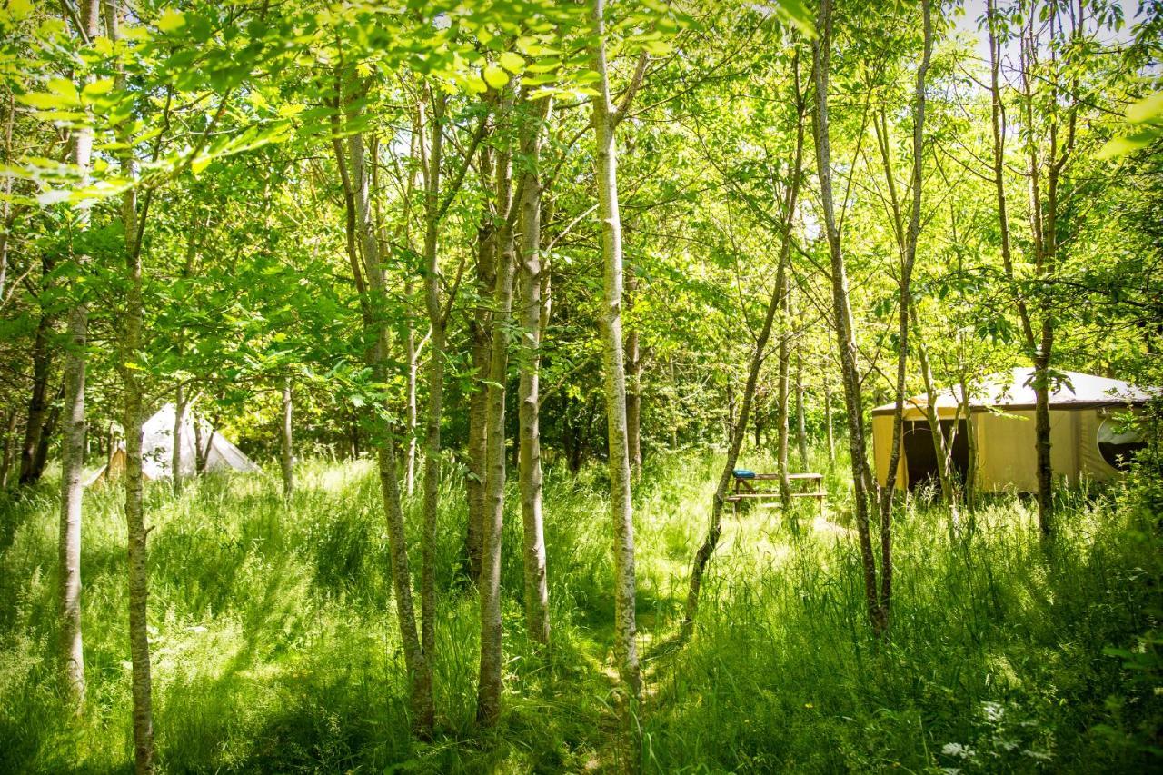 Dgg Woodland Escape 호텔 South Barrow 외부 사진
