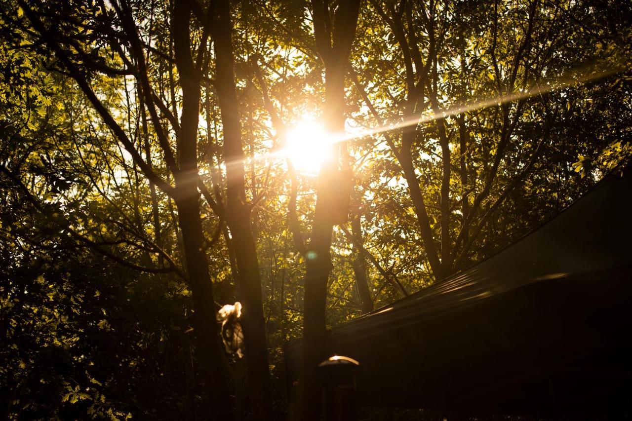 Dgg Woodland Escape 호텔 South Barrow 외부 사진