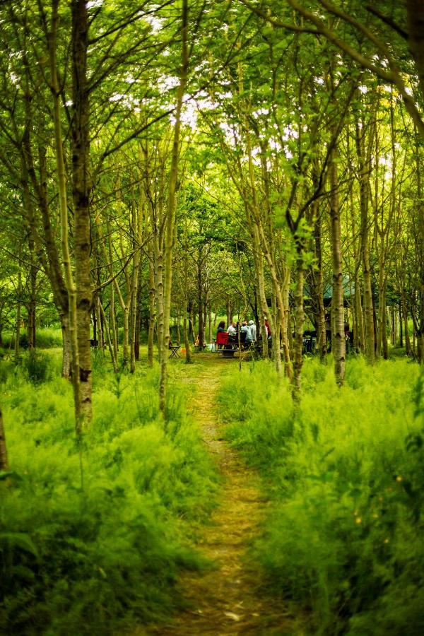 Dgg Woodland Escape 호텔 South Barrow 외부 사진
